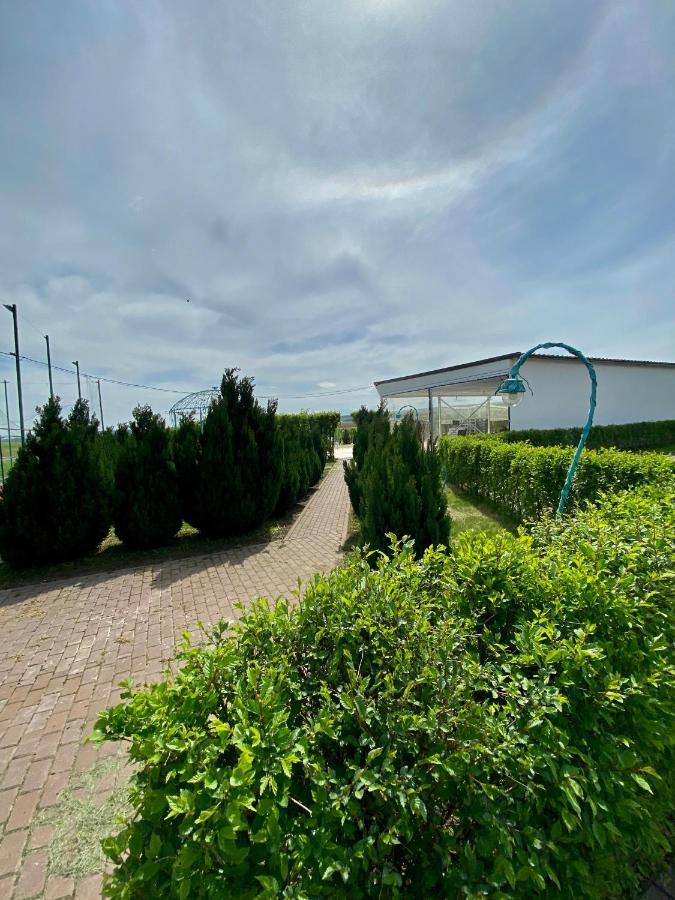 Green Oasis Stolniceni-Prajescu Exterior foto